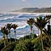 Coastal west coast surf and Nikau Palms - click for more.