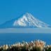 It takes about five hours to climb to the summit of Mt Taranaki.