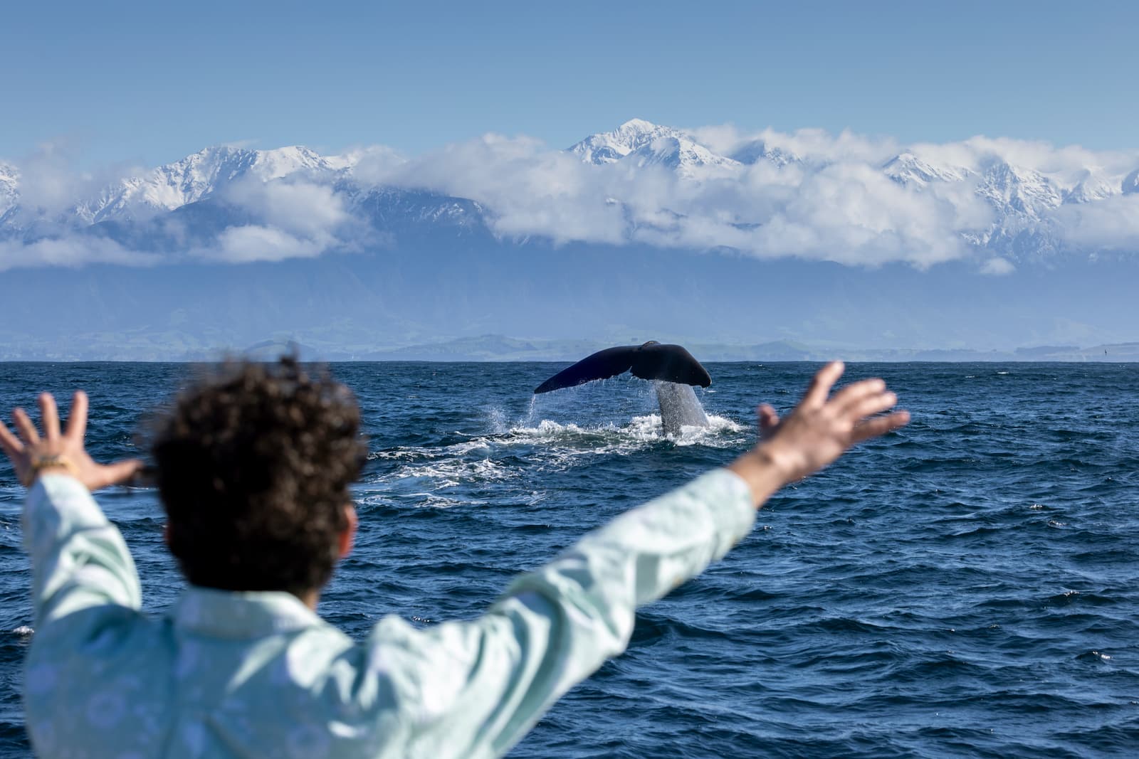 Sperm whale tail fluke with Seaward Kaikōura Ranges — whale watching Kaikōura