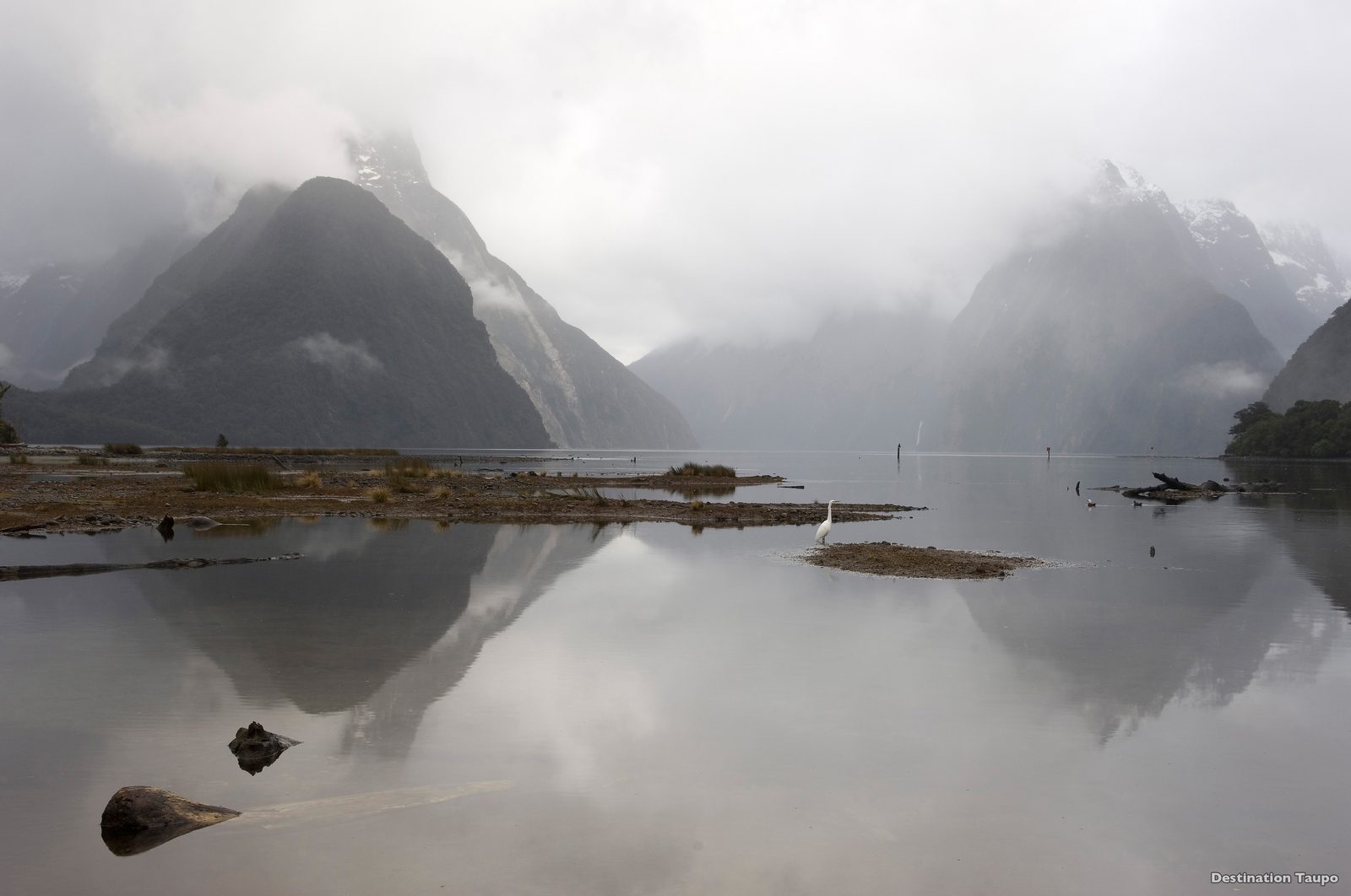 Milford Sound with Mitre Peak reflected in still water and white heron Fiordland New Zealand
