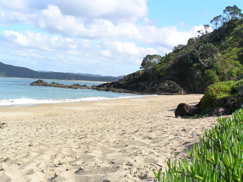 Tutukaka Beach with pohutukawa trees and turquoise water Northland