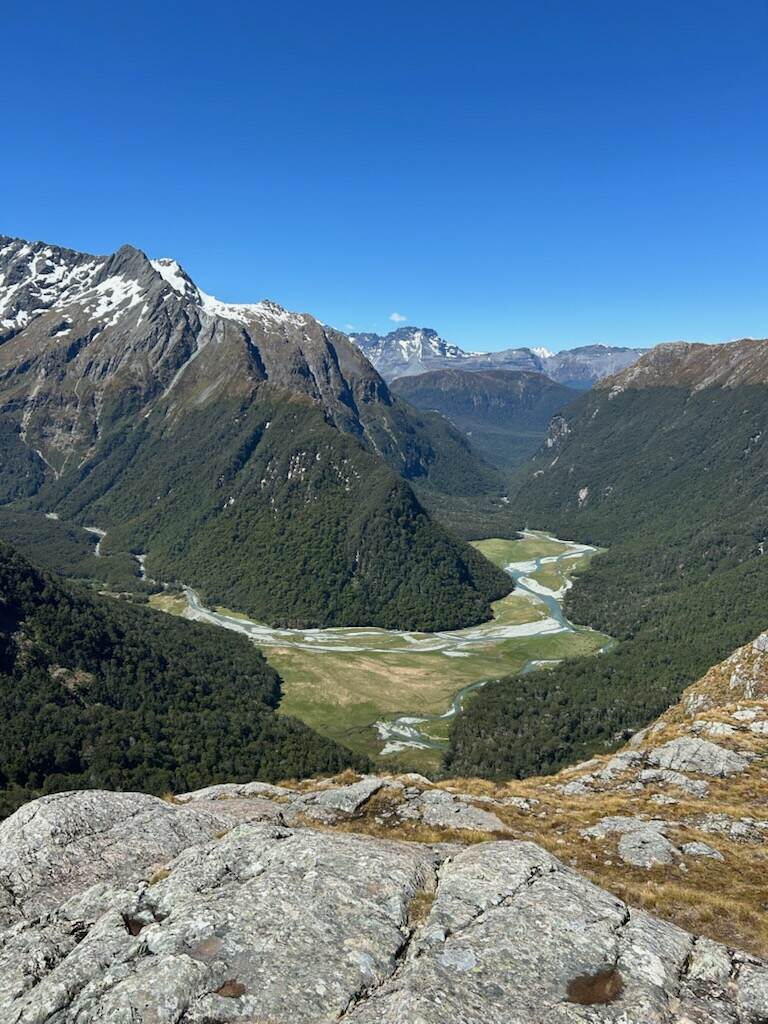 Crystal clear shallow river with driftwood and beech forest on the Routeburn Track