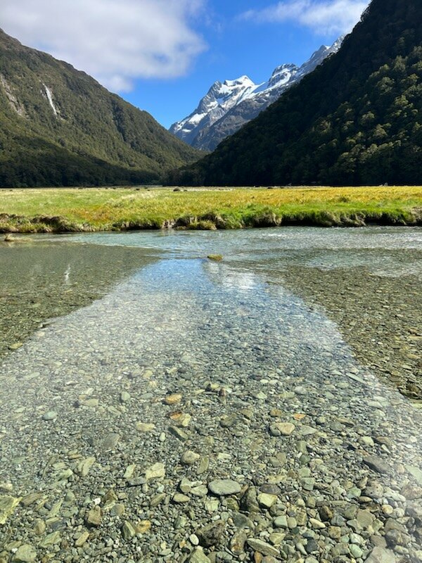 Cascading waterfalls and streams in misty conditions on the Routeburn Track
