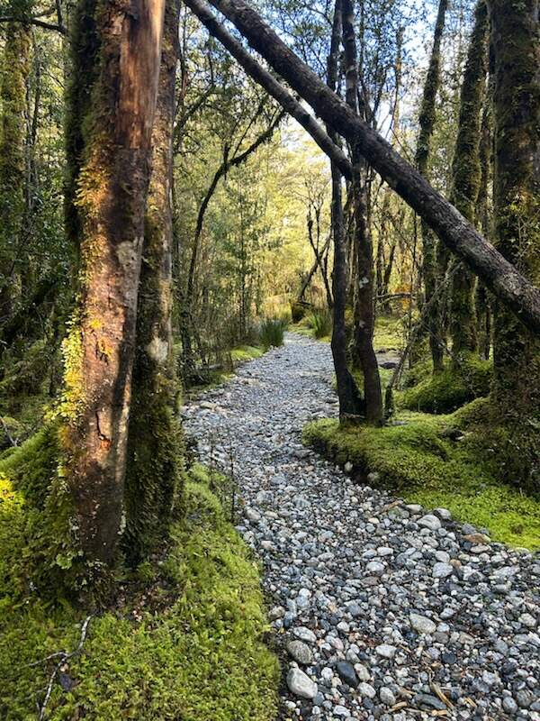 Crystal clear Routeburn River with massive boulders and snow-capped mountains