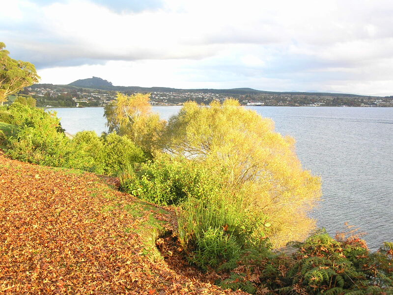 Autumn colours on the southern shore of Lake Taupō with golden willows and town in the background New Zealand