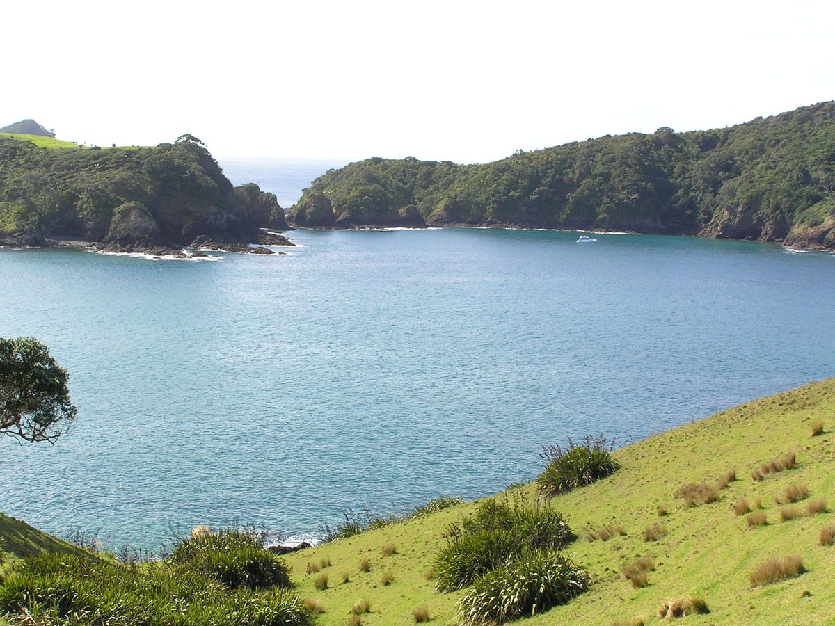 Tutukaka coast dramatic headlands and blue ocean Northland New Zealand