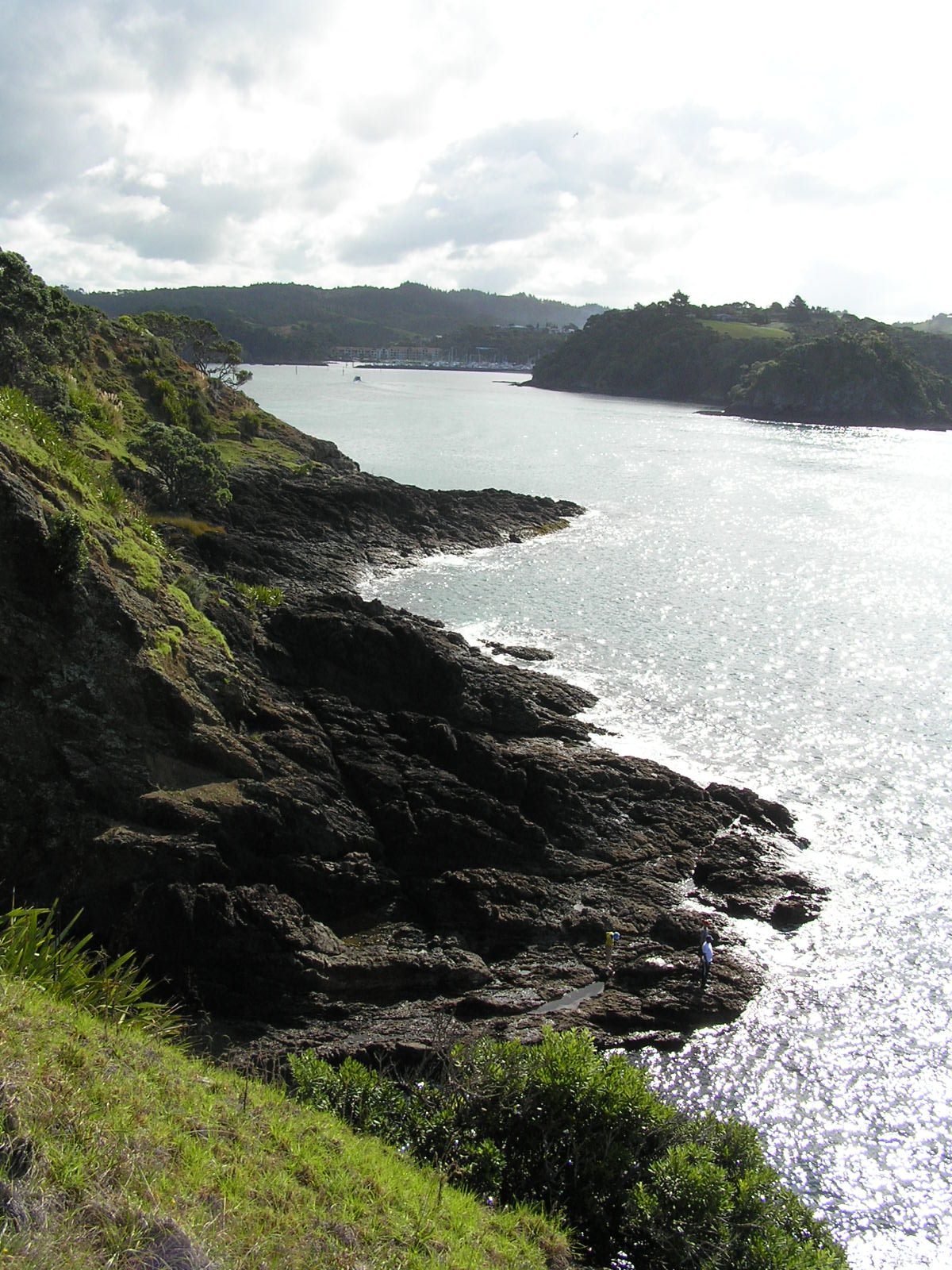 Rocky coastline at Tutukaka with waves crashing Northland New Zealand