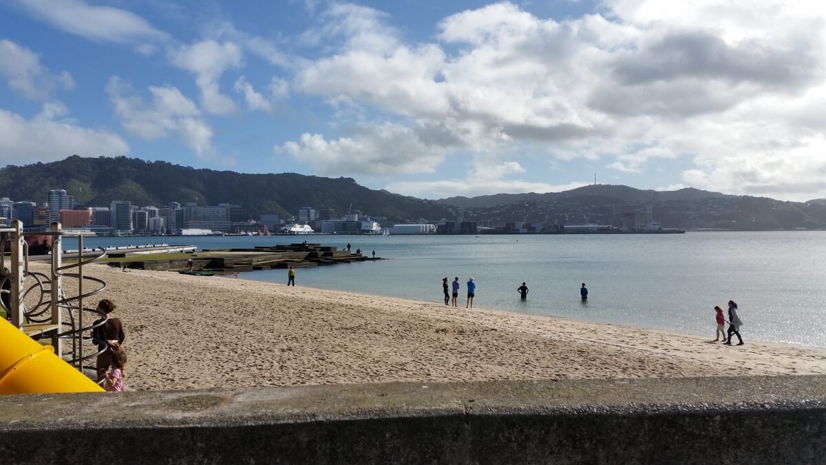 Wellington waterfront with beach and city skyline New Zealand